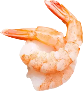 Shrimps